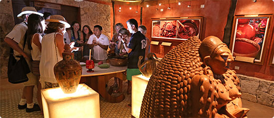 Công ty Cacao của người Maya