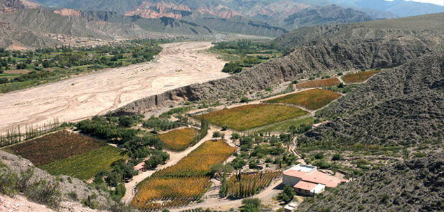 Bodega Fernando Dupont