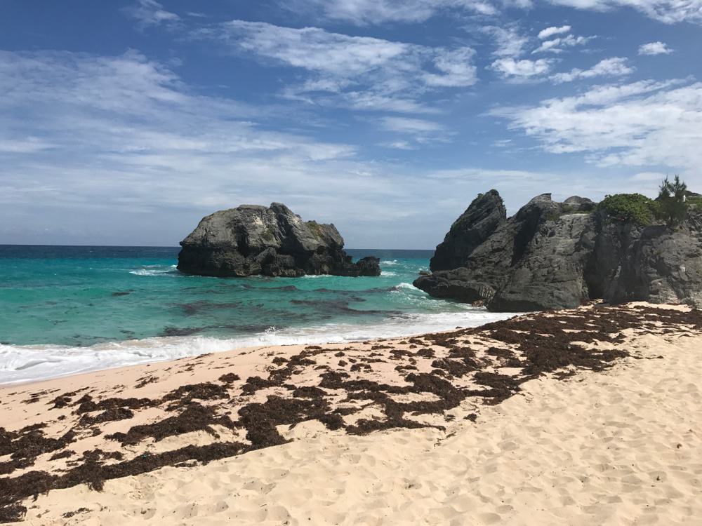 Jobson’s Cove Beach