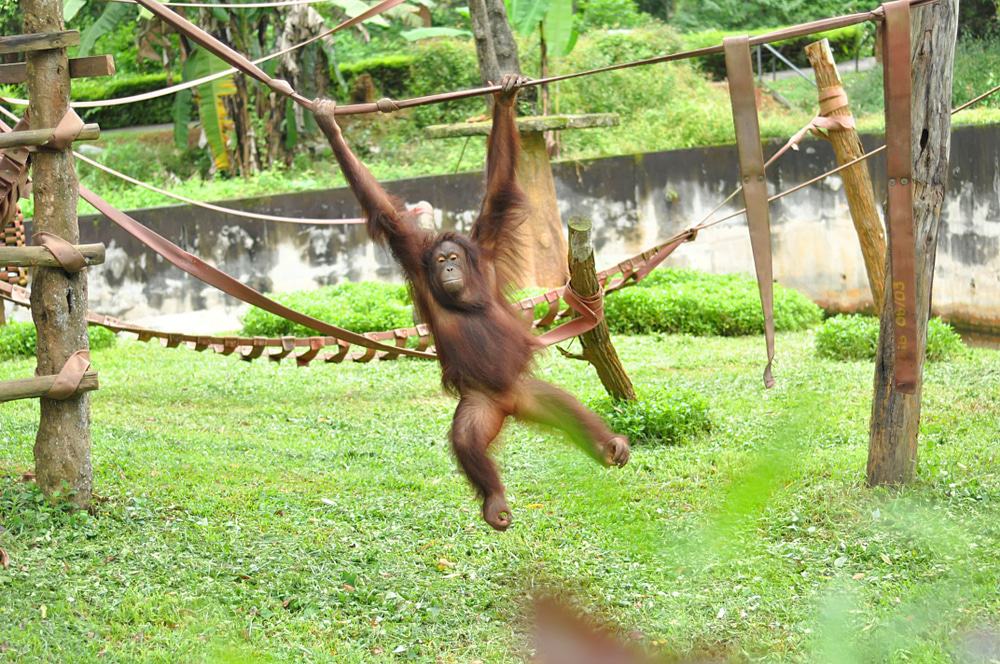Melaka Zoo