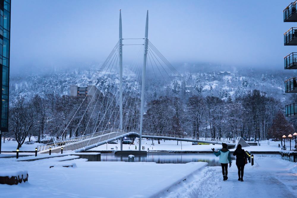 Ypsilon Bridge in Winter