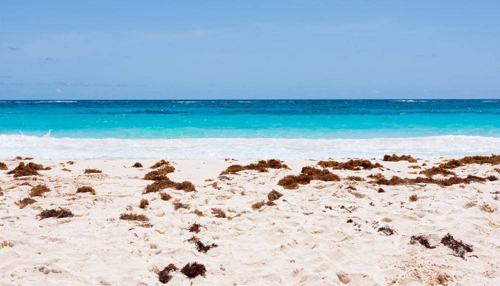 Elbow Beach, Bermuda