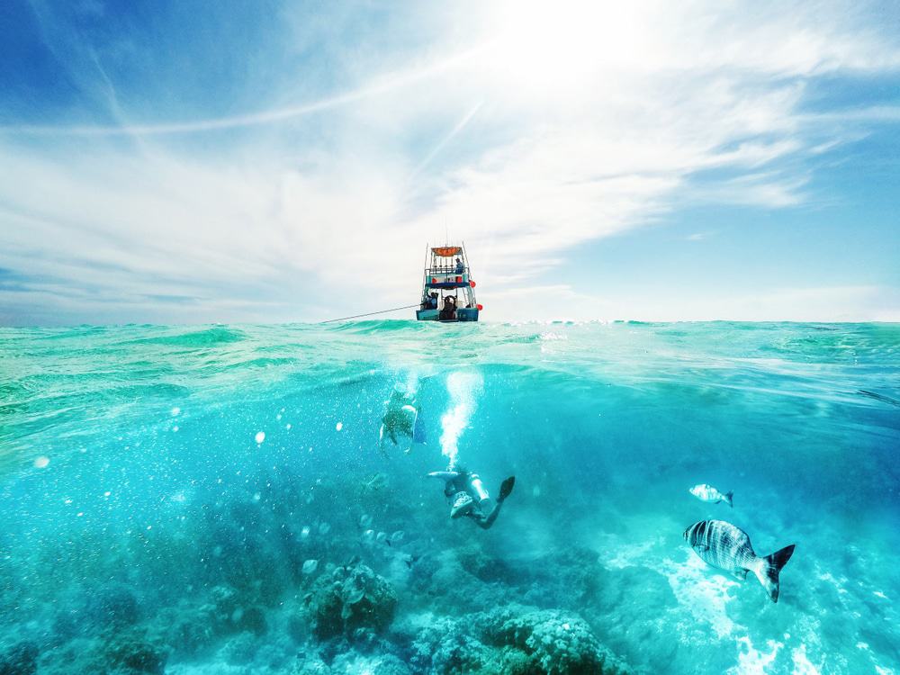 Diving