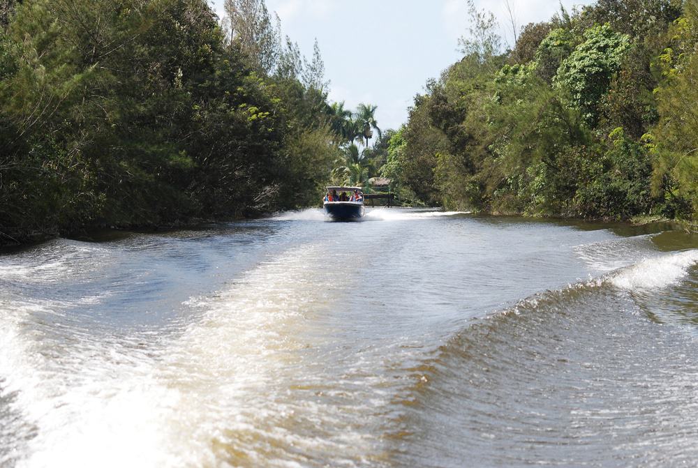 Parque Nacional Ciénaga de Zapata