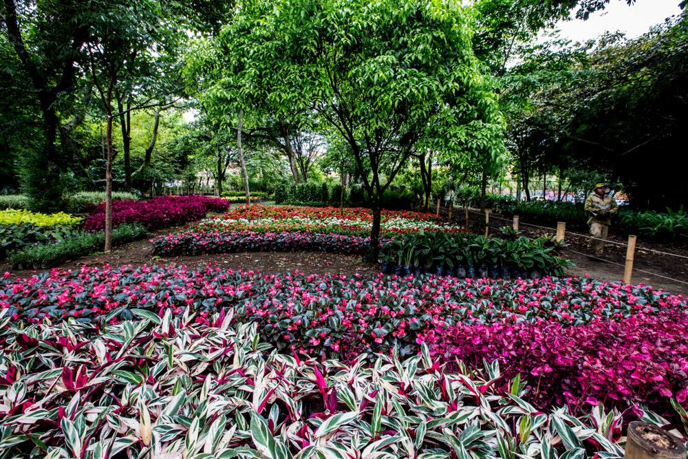 Botanical Gardens, Medellin