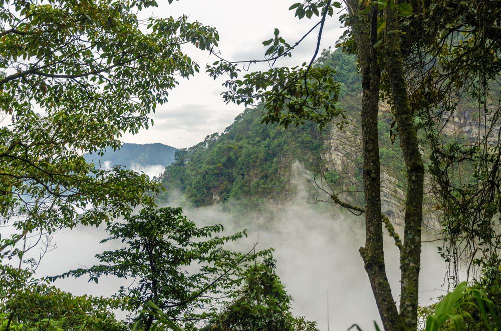 Chicaque Nature Park, Colombia