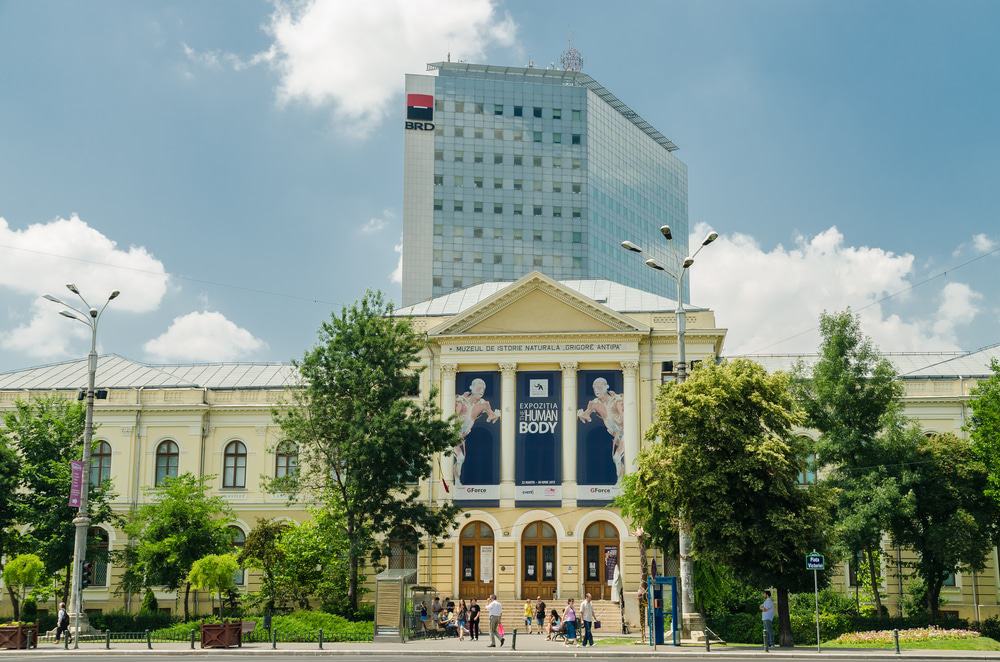 Grigore Antipa Museum of Natural History