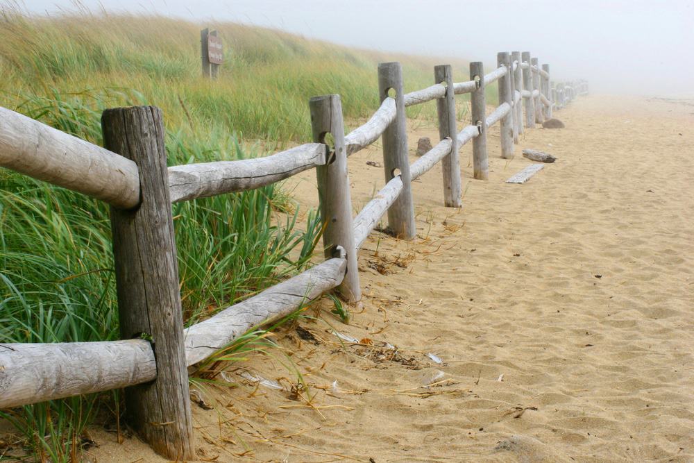 Sandy Beach, Arcadia National Park