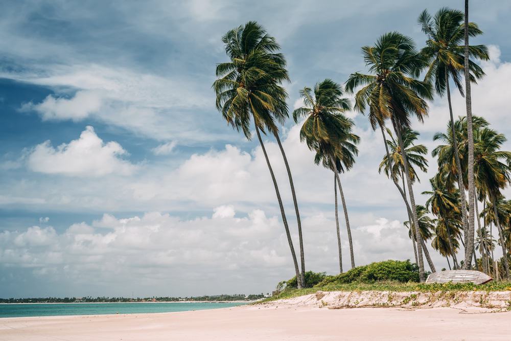Praia dos Carneiros, Recife
