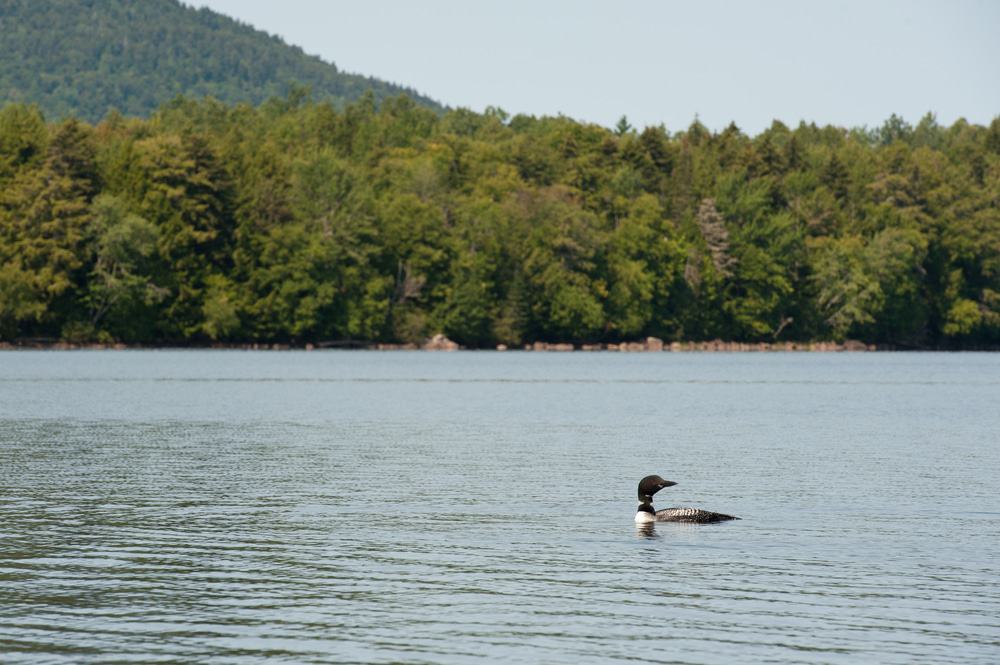 Umbagog Lake, New Hampshire