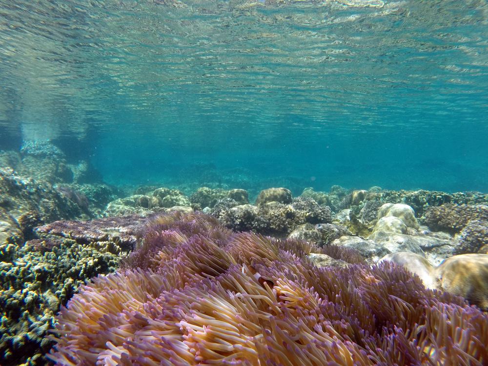 Terengganu Marine Park