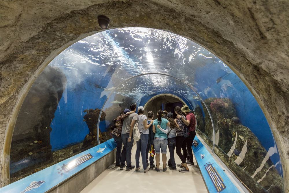 Guadalajara Zoo