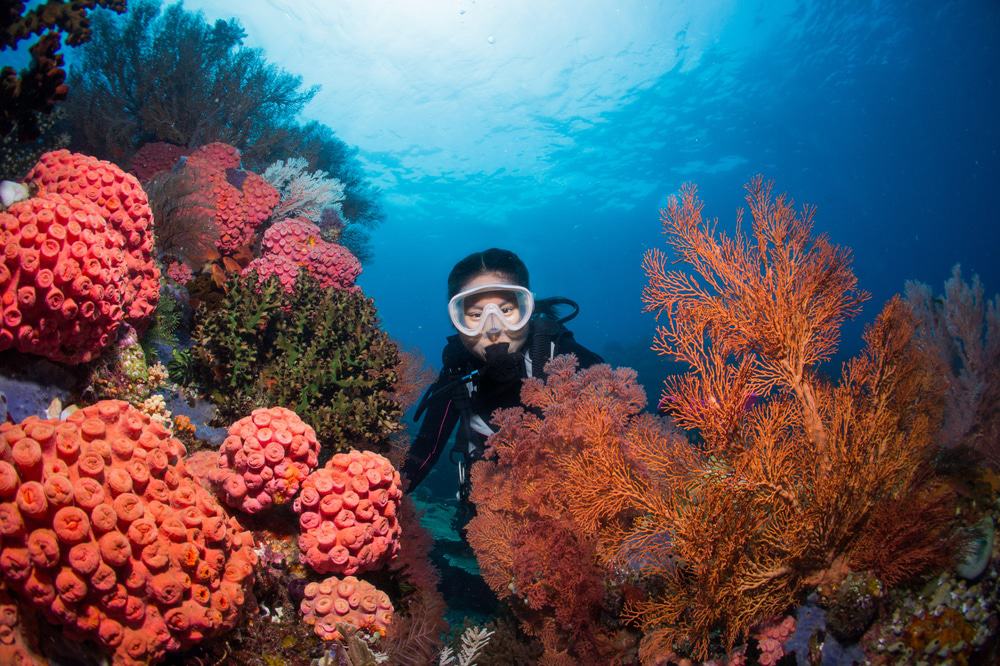 Raja Ampat Diving