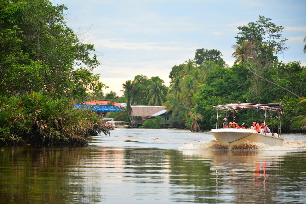 Klias Wetland Mangrove Forest Reserve