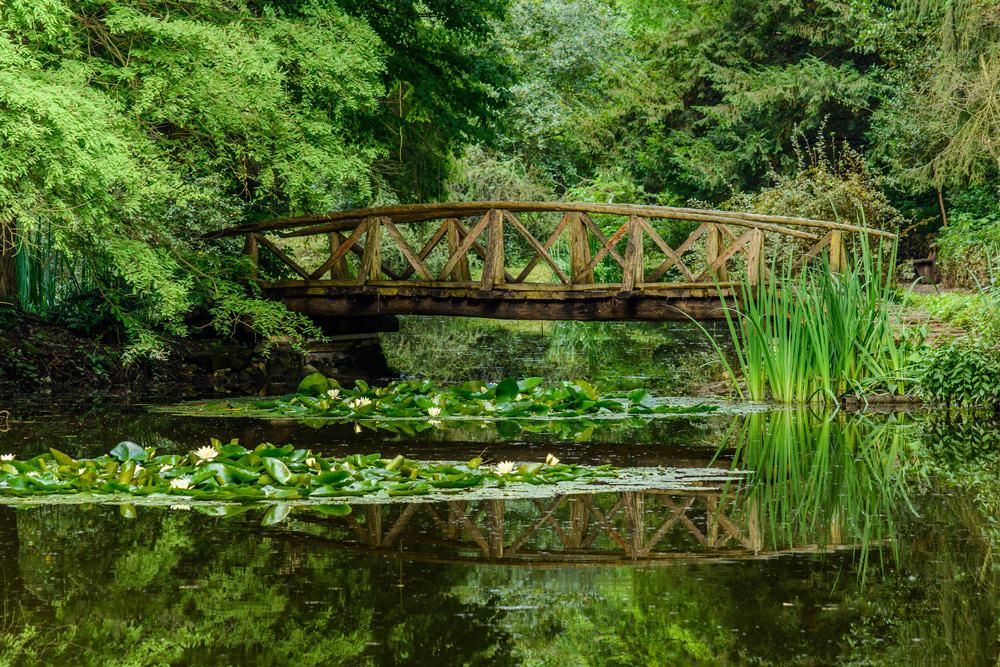 Arboretum Park Simeria