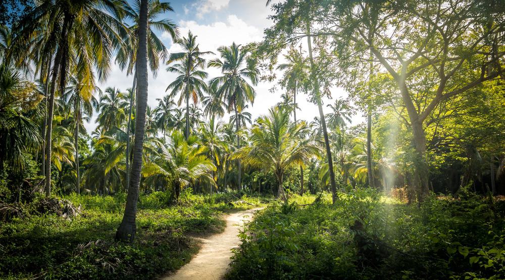 Tayrona National Park