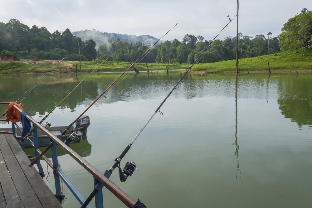 Fishing, Taman Negara