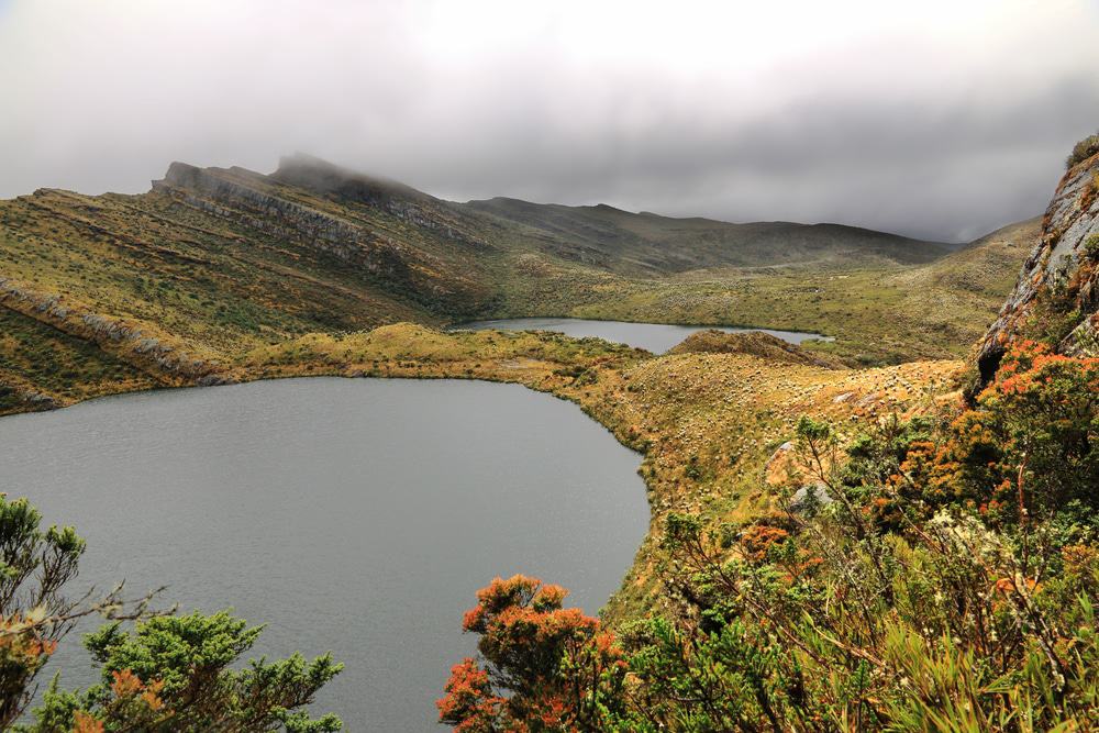 Chingaza National Park