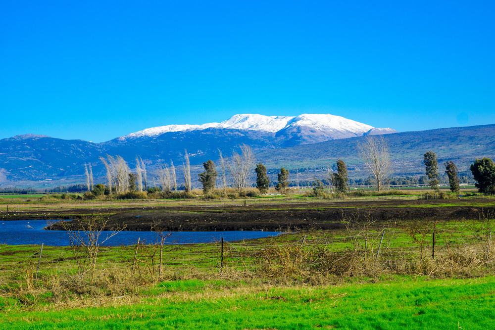 Hula Valley And Mount Hermon