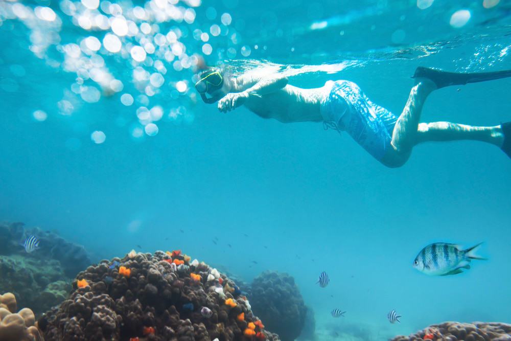 Snorkeling