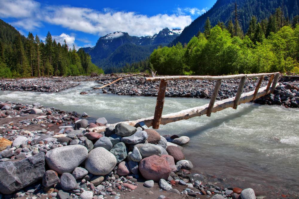 Mount Rainer National Park