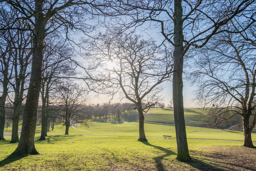 Roundhay Park, Leeds