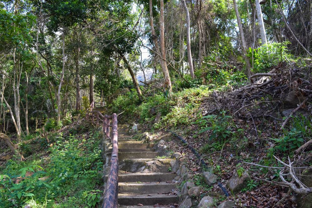 Tioman Hiking