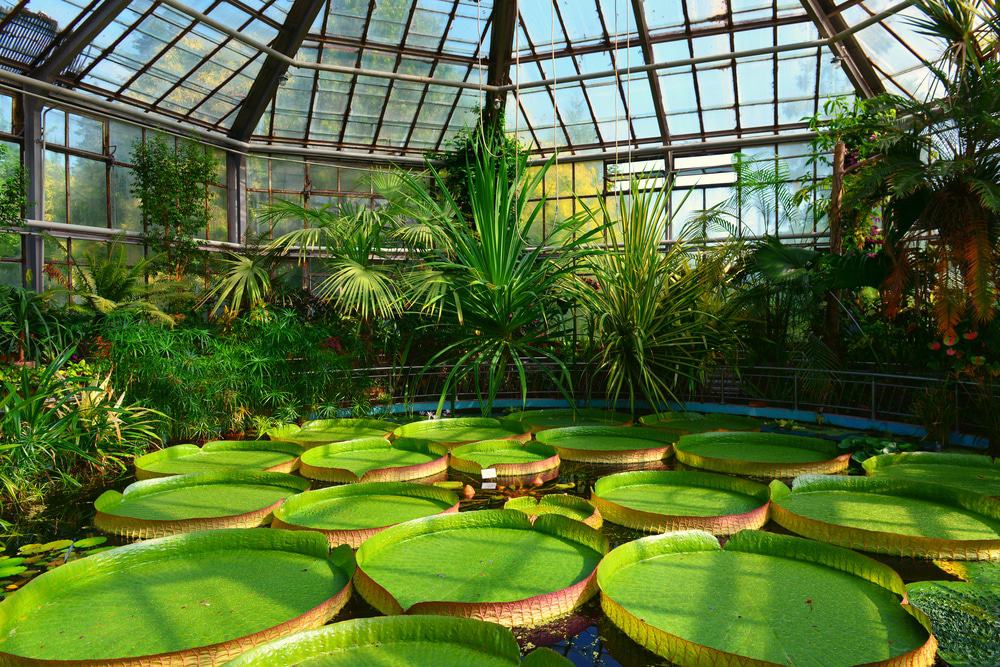 Botanical Garden, Cluj-Napoca