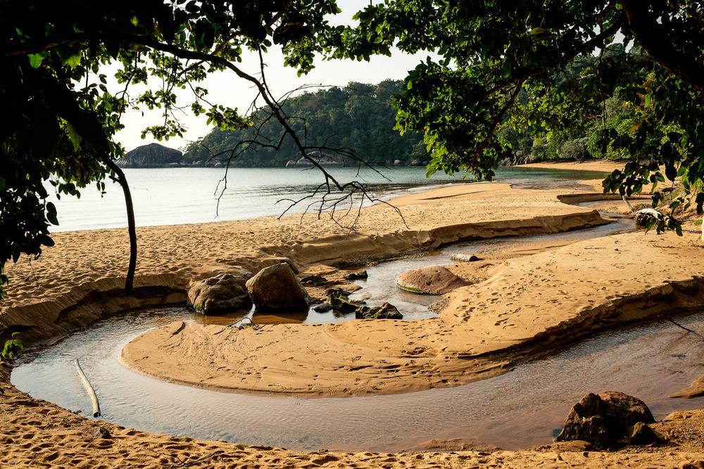 Monkey Beach, Tioman