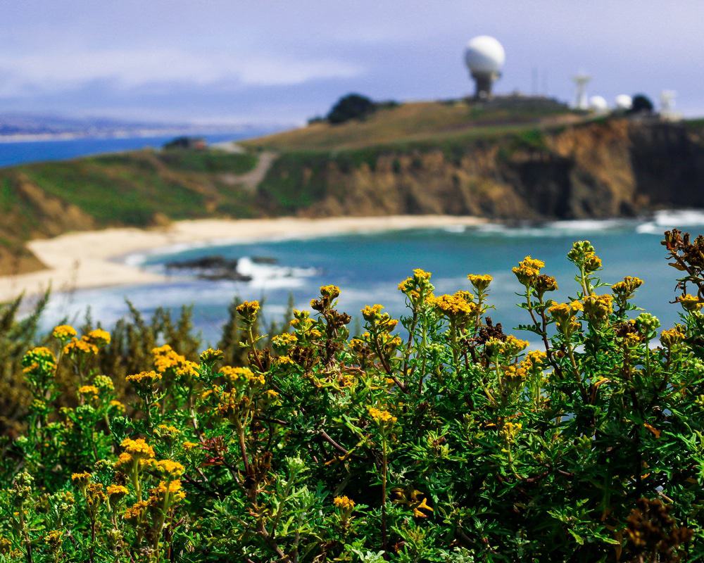 Ross Cove Beach, Northern California