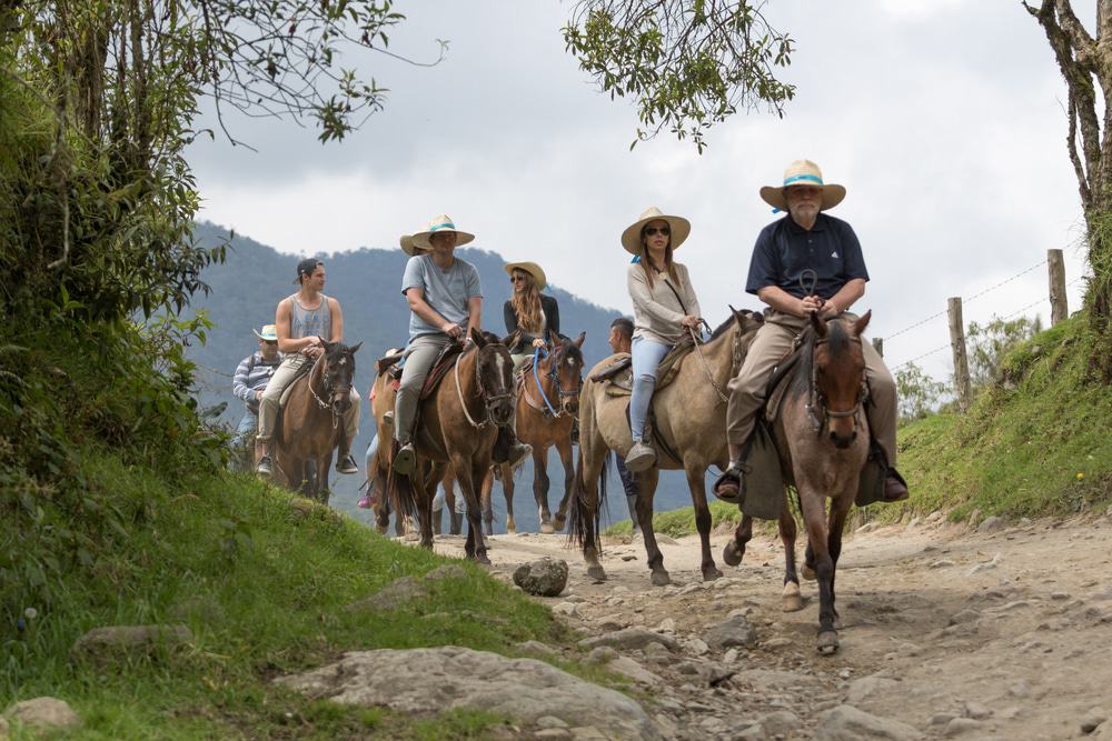 Horseback Riding, Salento