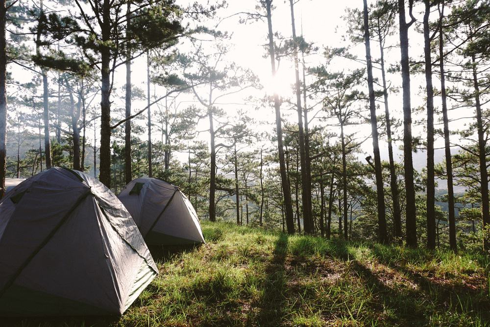 Bidoup Nui Ba National Park