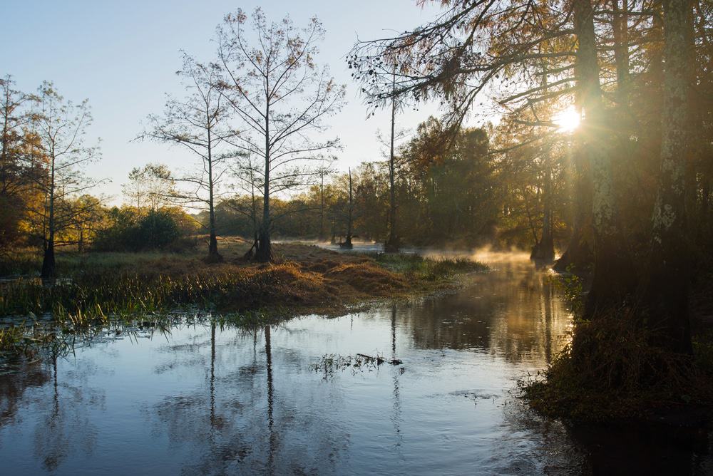 Wolf River, Tennessee