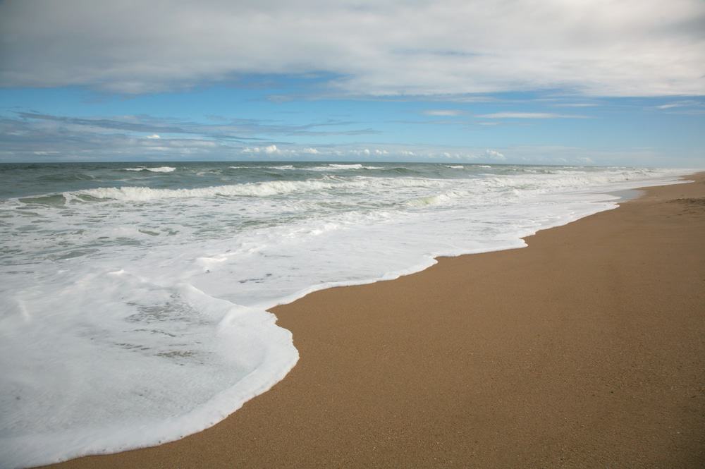 Apollo Beach Nature Reserve, Florida