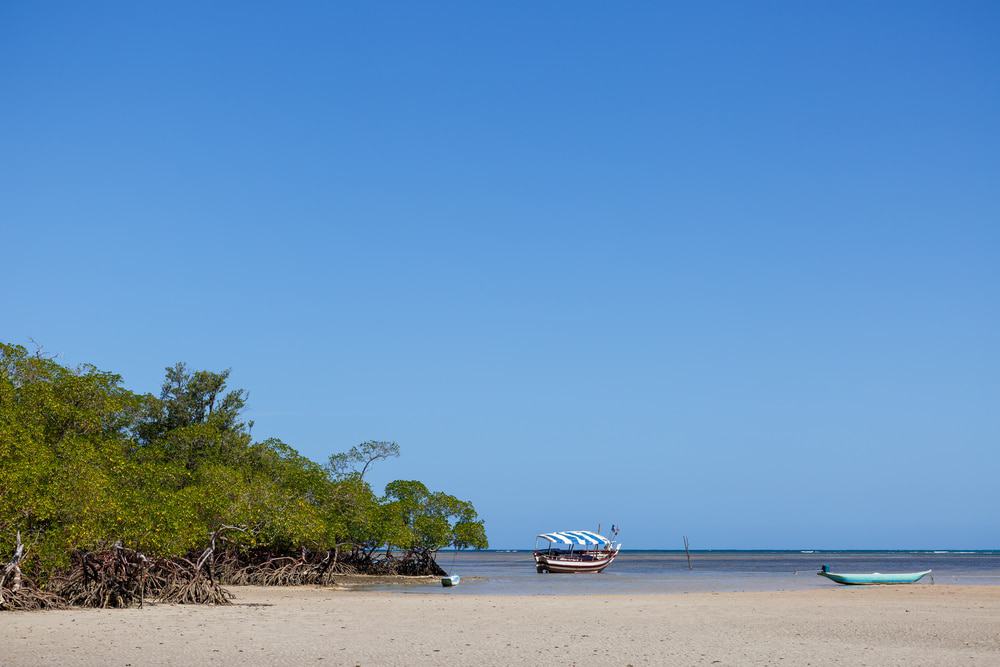 Tinhare Island, Brazil