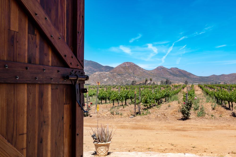 wine tours