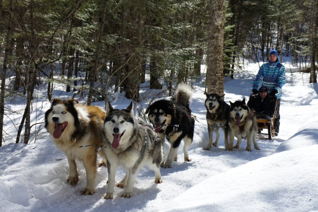 Aventures Nord-Bec Stoneham