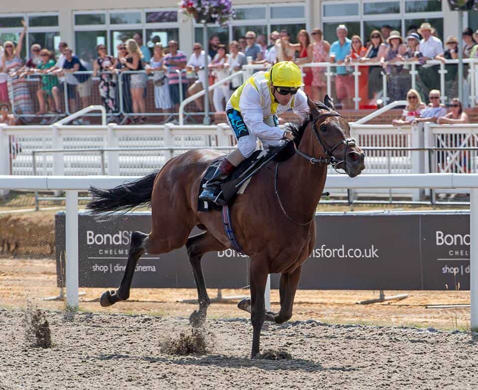 Chelmsford City Racecourse