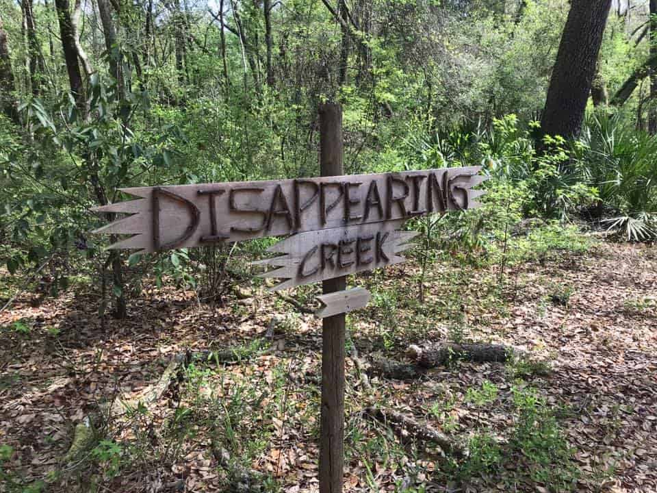 Disappearing Creek at Camp Branch