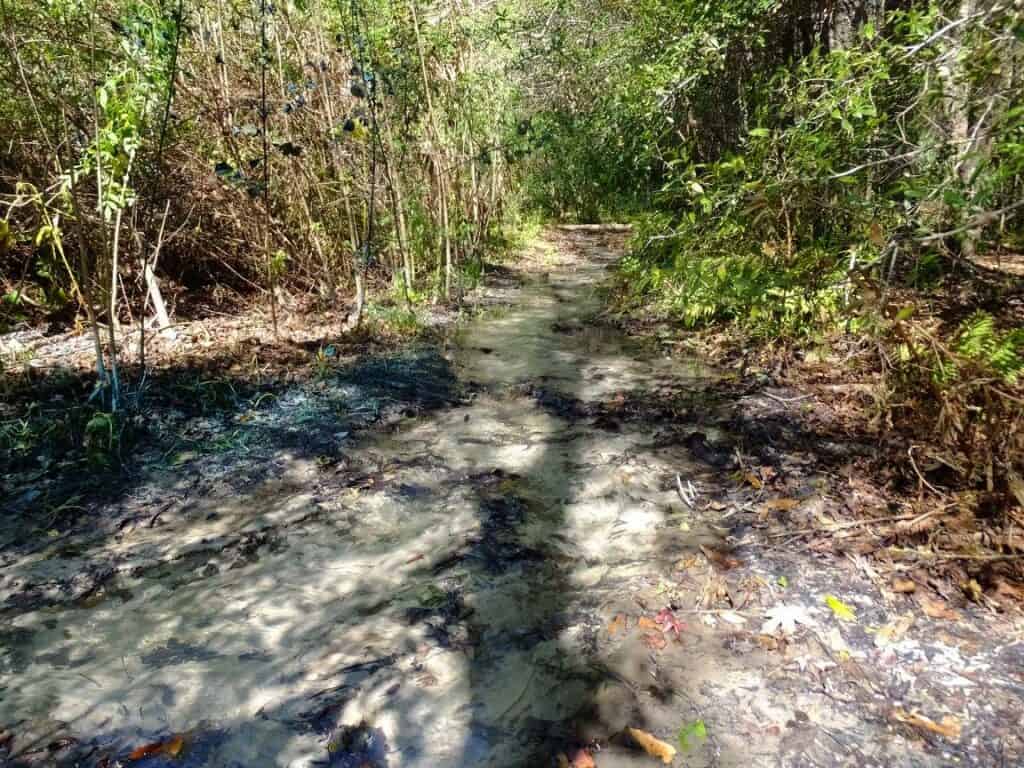 Hidden Waters Preserve, Eustis