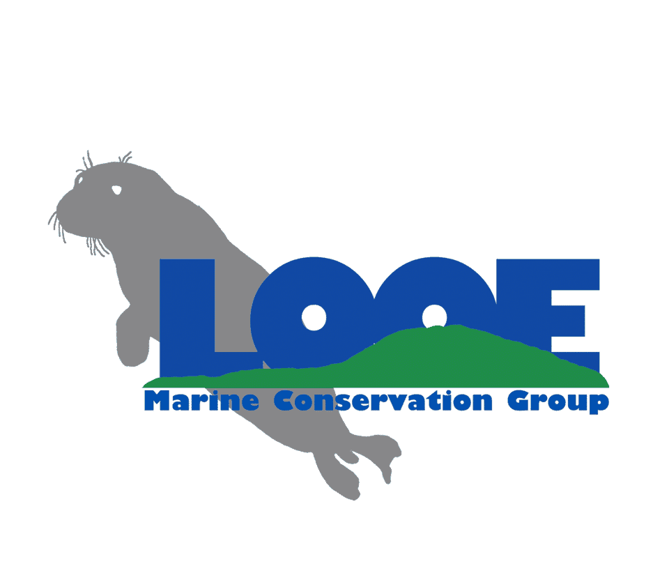 The Looe Marine Conservation Group