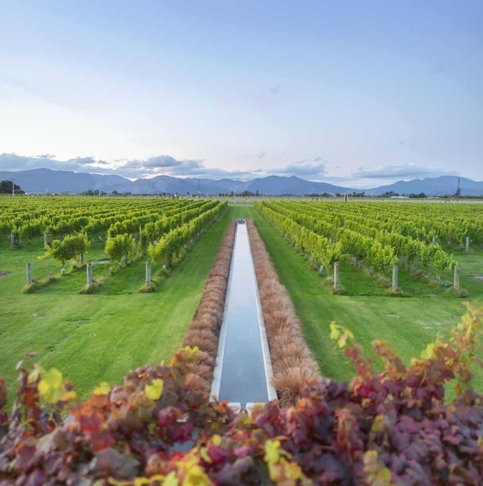 Villa Maria Estate