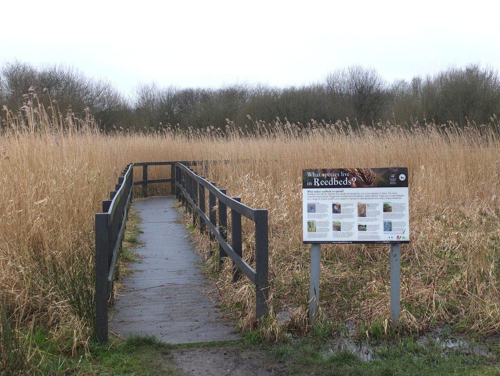 Wigan Flashes Nature Reserve