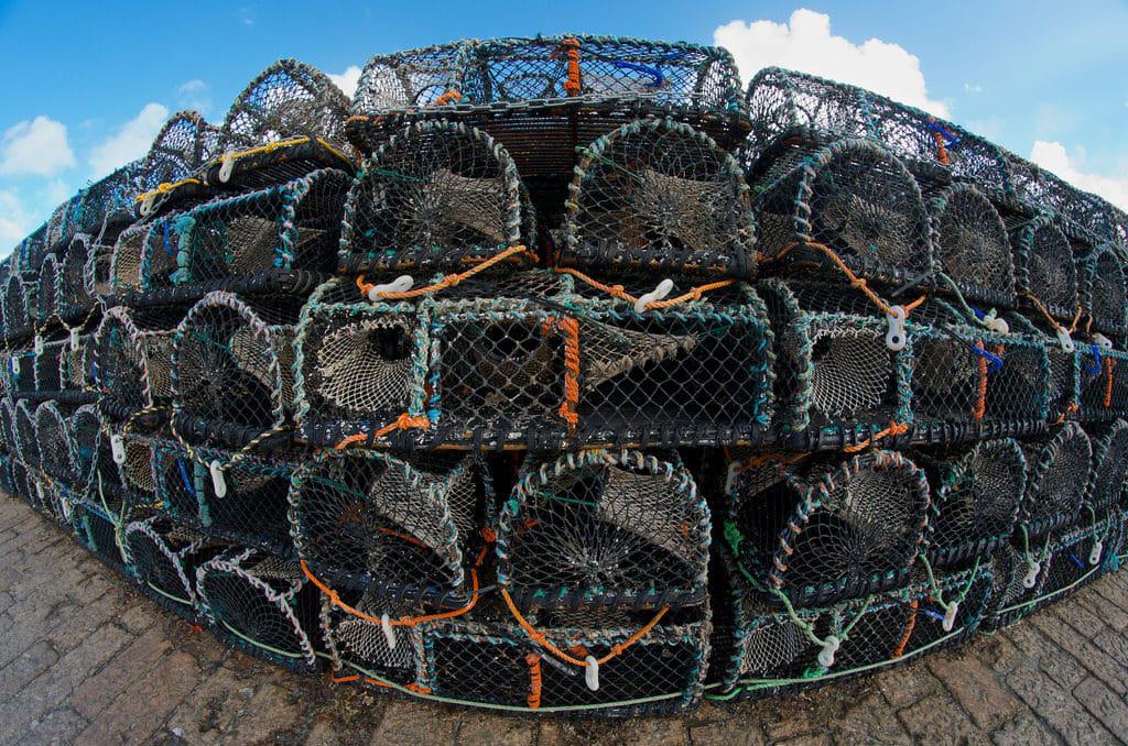 National Lobster Hatchery