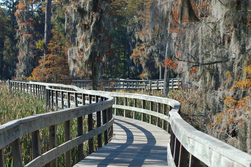 Phinizy Swamp Nature Park