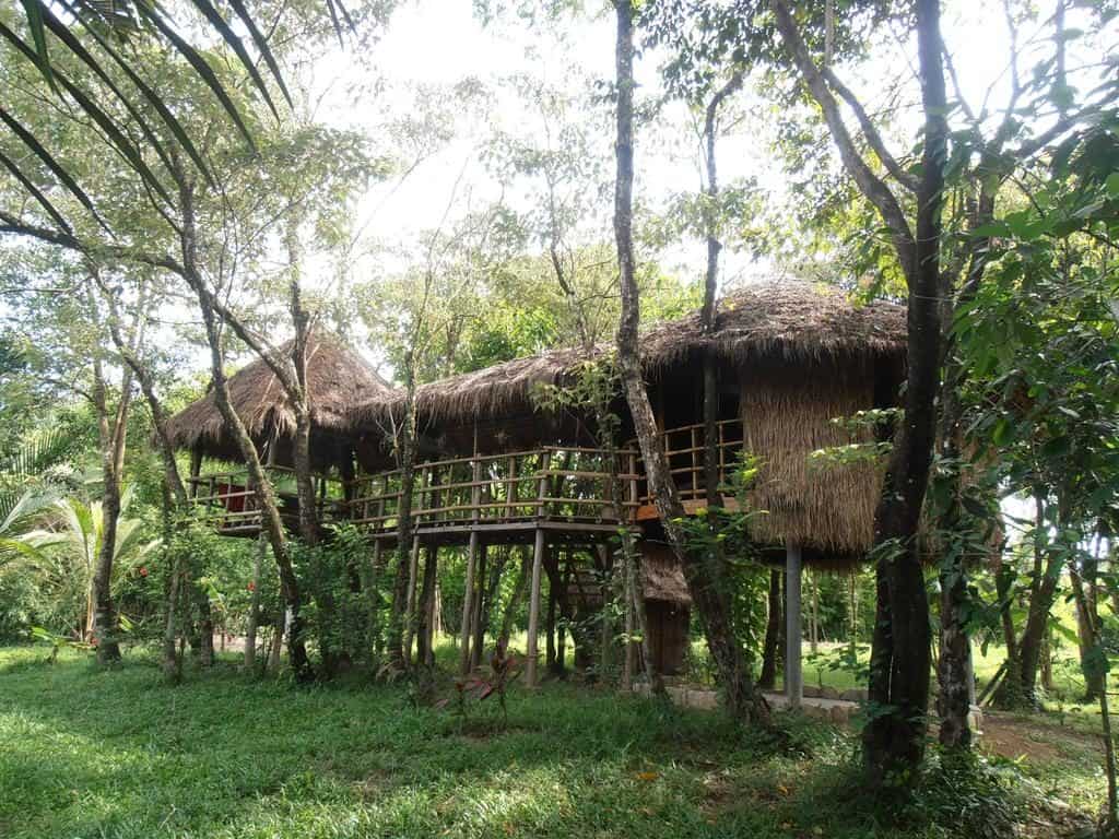 Neptune River Bungalows