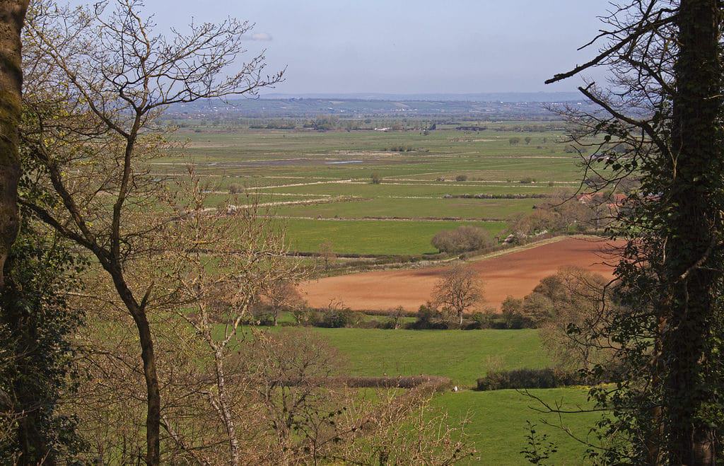 RSPB Swell Wood