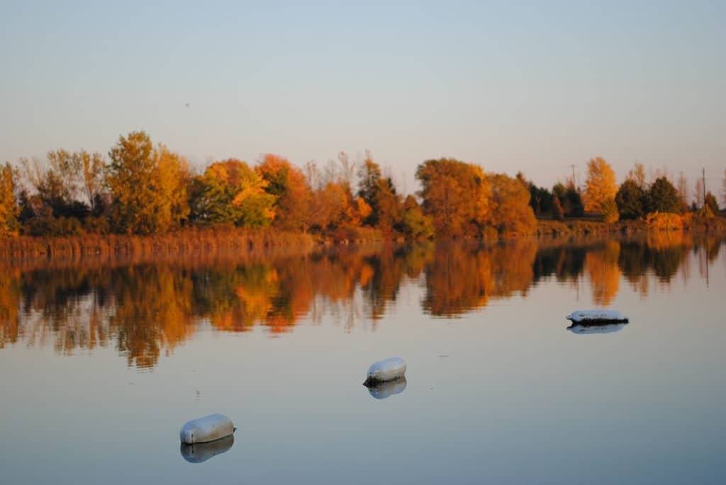 Laurel Creek