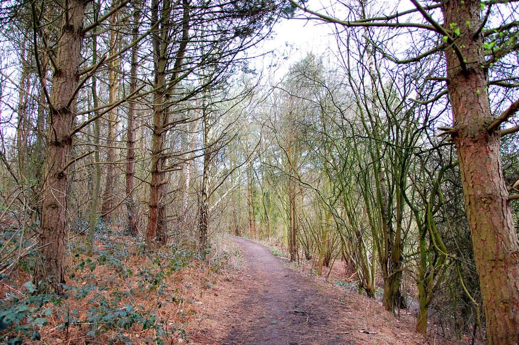 Birchwood Forest Park