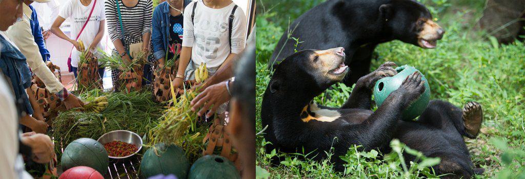 Free the Bears, Phnom Penh
